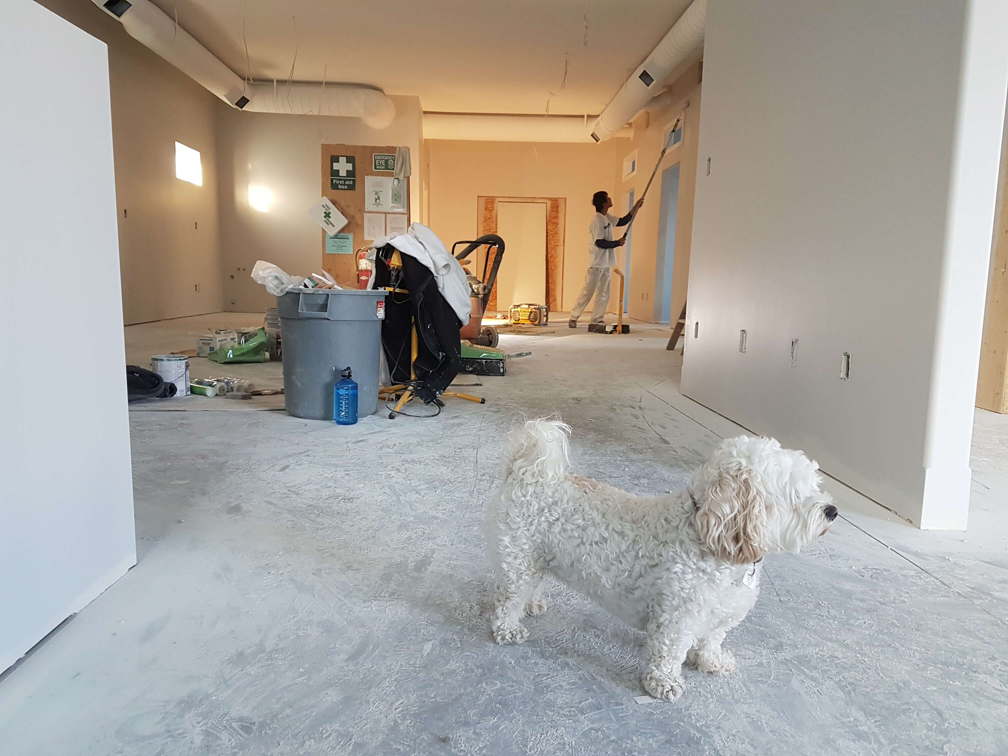 Home Remodeling with Pets